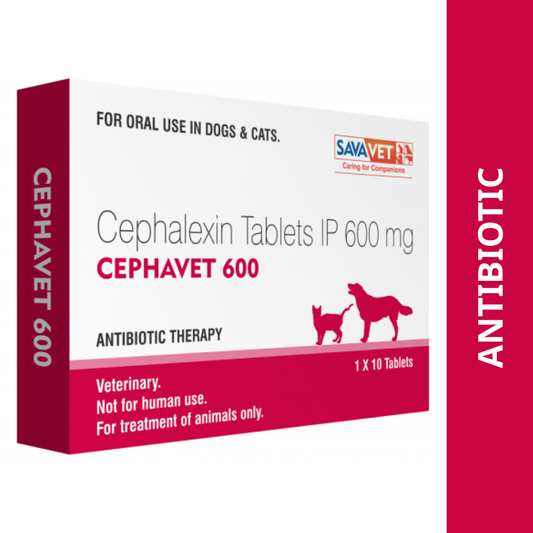 Savavet Cephavet 600 mg (Cephalexin) Tablet for Dogs & Cats