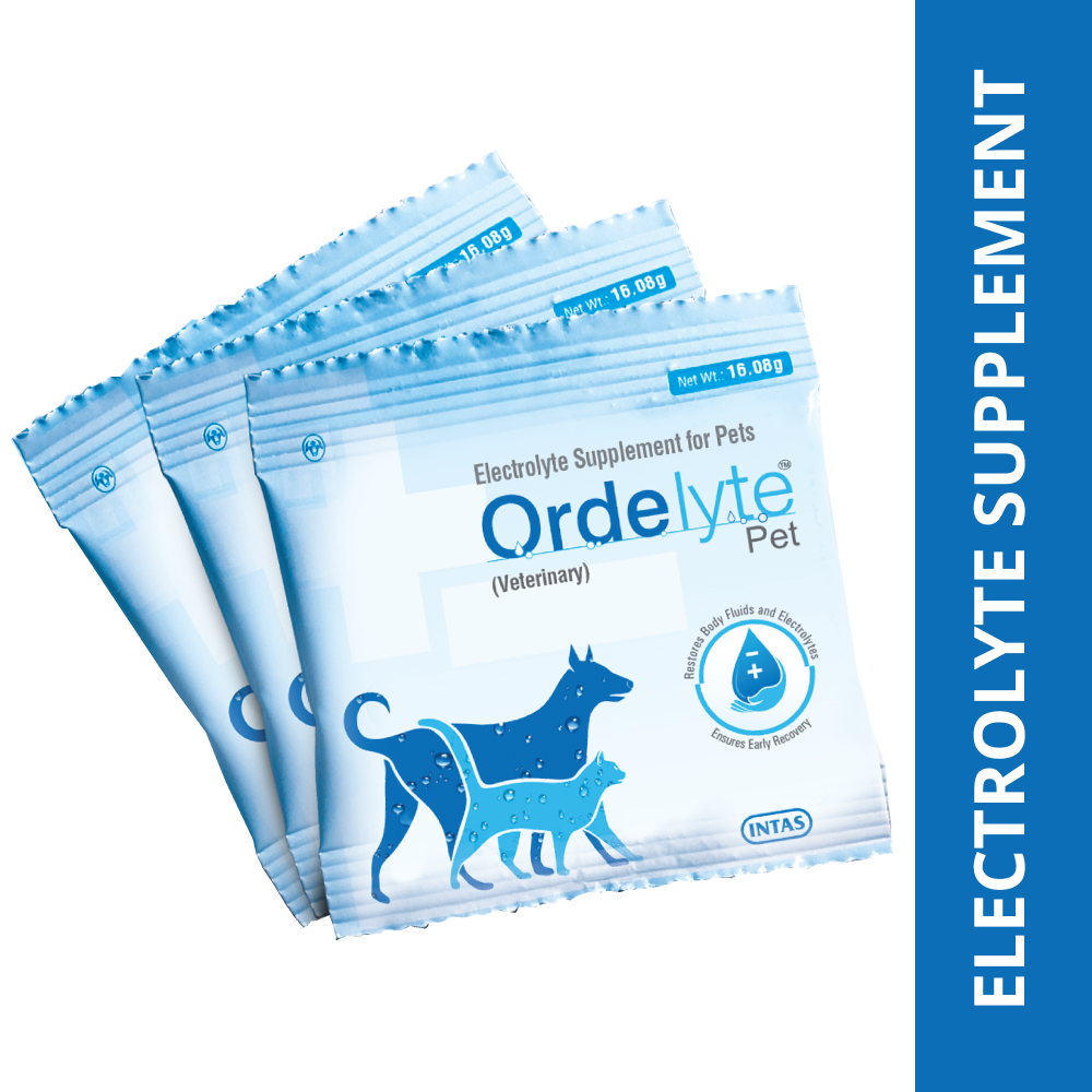 Intas Ordelyte Powder Electrolyte Suppement for Dogs and Cats