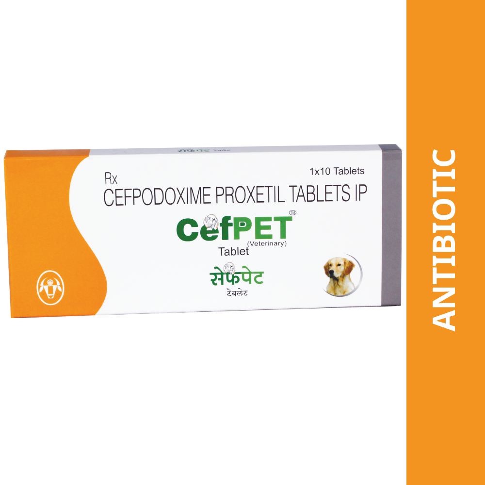 Intas Cefpet 100mg (Cefpodoxime Proxetil) Tablet for Dogs & Cats