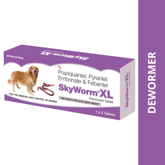 Skyec Skyworm XL Dog Deworming Tablet (pack of 2 tablets)