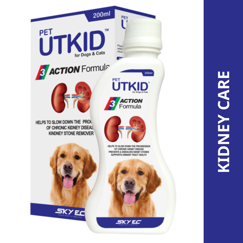 Skyec UTKID (200ml)