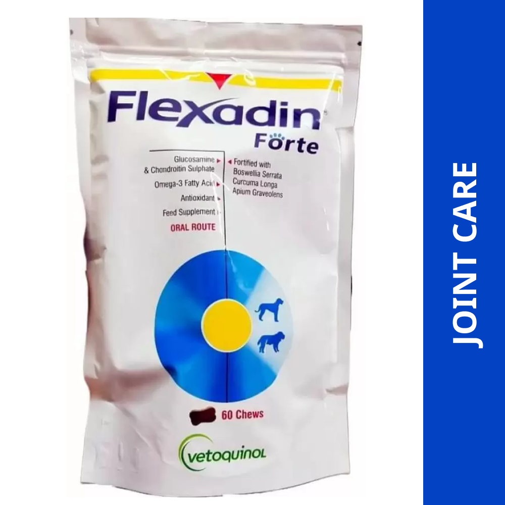 Vetoquinol Flexadin Forte Joint Support tablet for Dogs (pack of 60 chews)