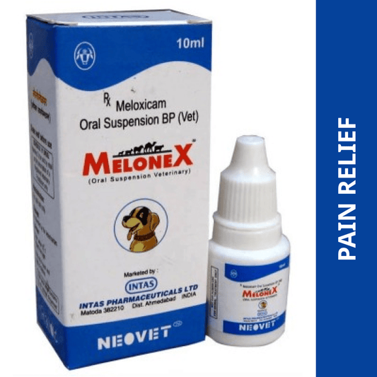 Intas Melonex (Meloxicam) Oral Suspension (10ml)