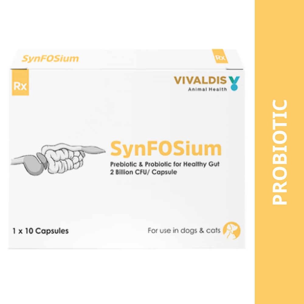 Vivaldis Synfosium Pre Probiotic Capsule for Dogs & Cats